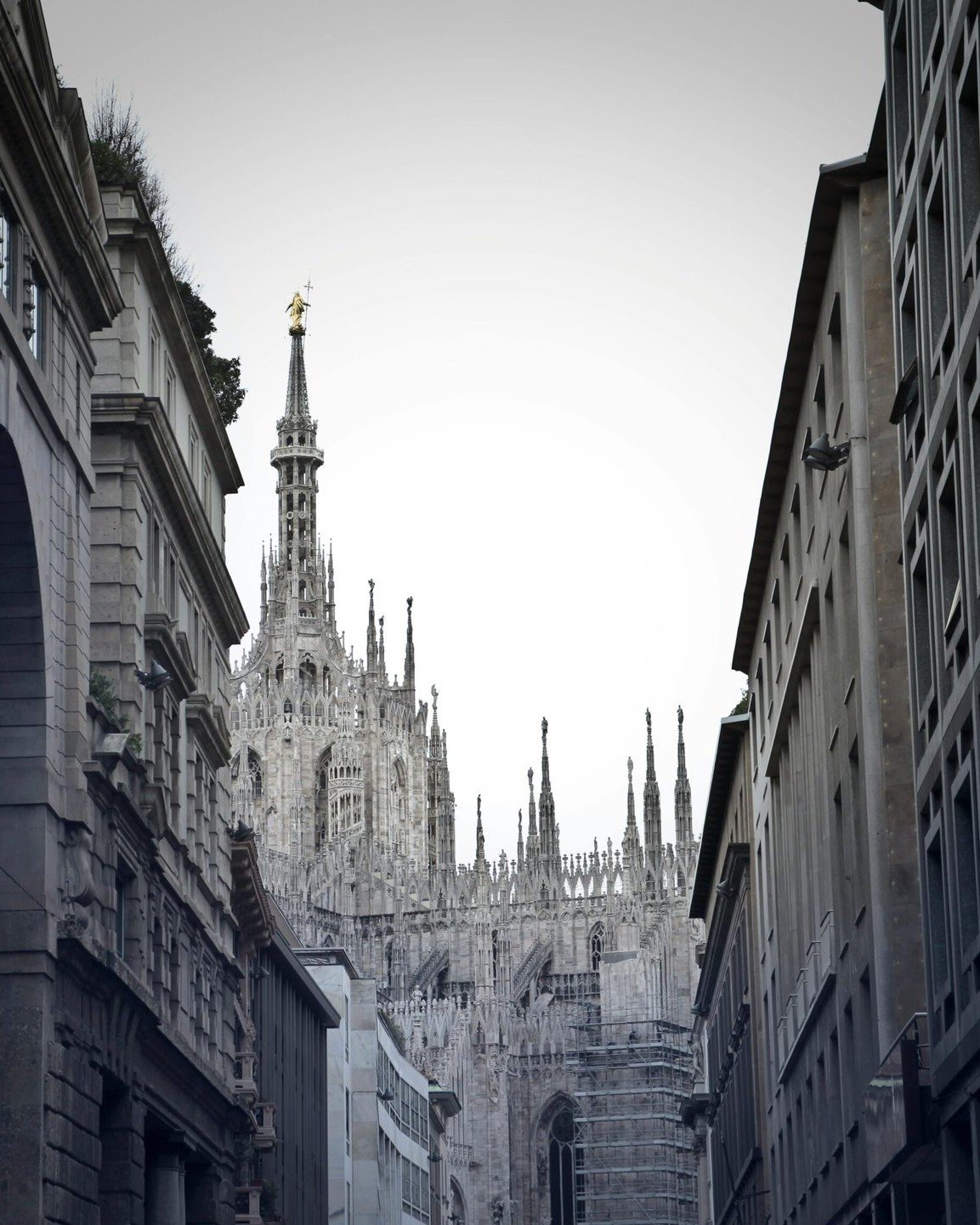 Where Craft Meets Vision: The Story Behind Vetrina Mia