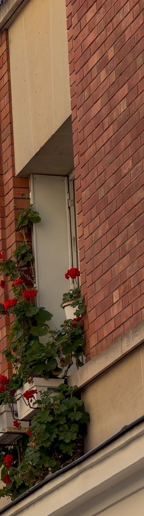 A Paris street lantern against warm stone, a red-brick building and geraniums on a window ledge in Le Marais.